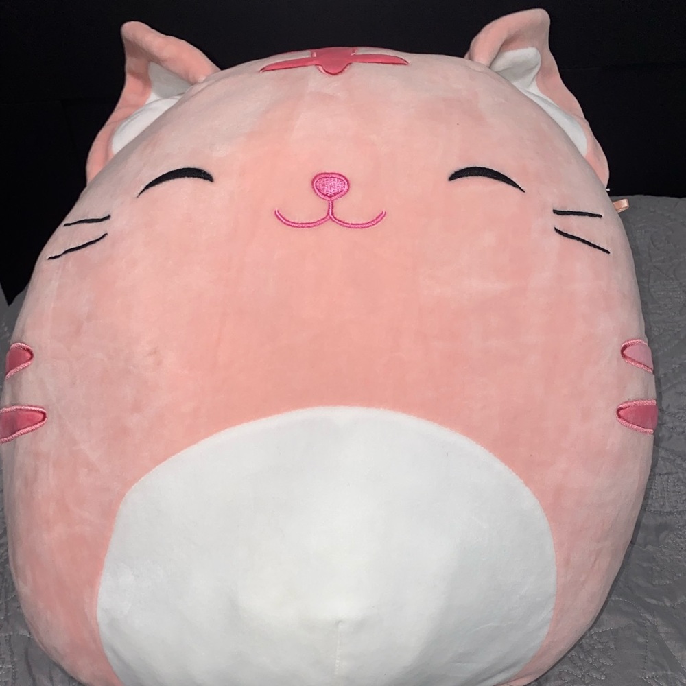 Paulita: Pink Tabby Cat Squishmallow